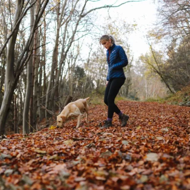 Une promenade en forêt dans les feuilles d’automne, le chien en avant