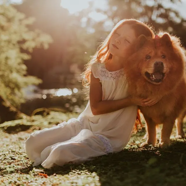 Une fillette serre son chien dans ses bras, au soleil